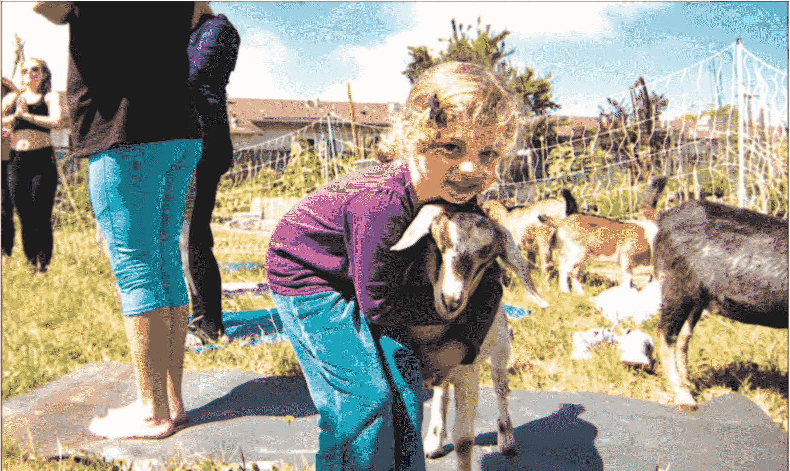 Kids with Kids at Goat Yoga A Different Kind of Flexibility in