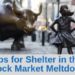 Tips for shelter in the stock market meltdown