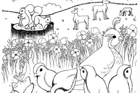 woodland coloring page for kids