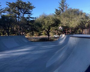 Santa Cruz County Skateparks Growing Up in Santa Cruz