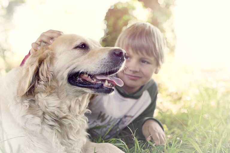 How to be Safe Around Dogs