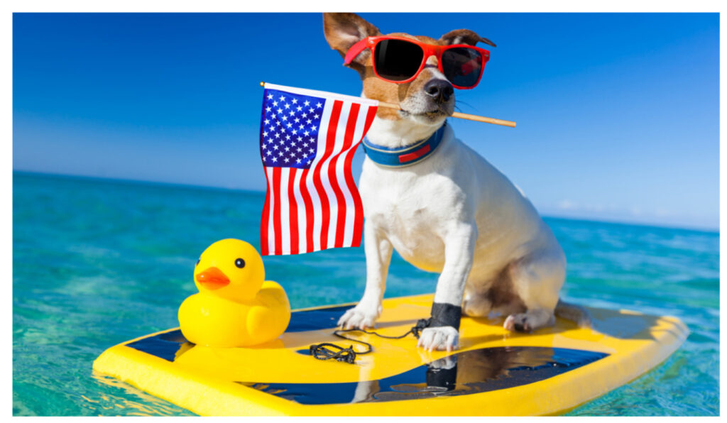 The Dog Days of Summer