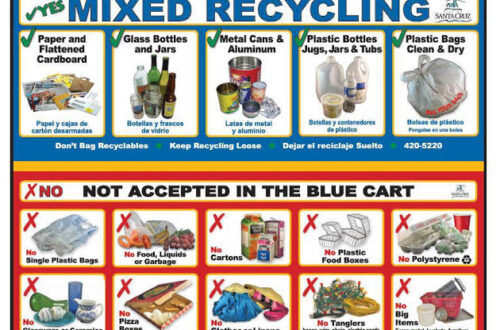 Sorting Out the Future of Recycling