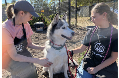 October Tails: Second Chances and Safety