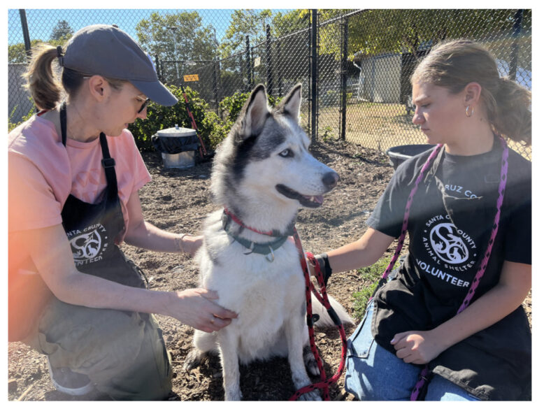 October Tails: Second Chances and Safety